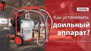 Как установить доильный аппарат?