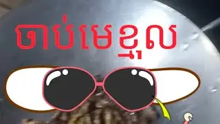 គេចាប់បាន ហេតុអ្វីខ្ញុំមិនបាន😢