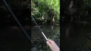 Cesta za veľkým potočakom 💪
