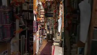 DREAMY Vintage Bookshop in London 