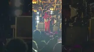 Nile Rodgers / CHIC “Good Times” Heartland Festival 2024