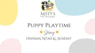 Nyah, Finn & Sunday