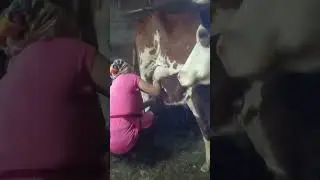 Первый раз кушаем