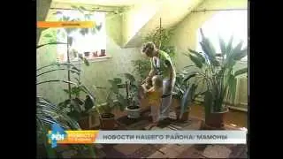 Новости нашего района: село Мамоны