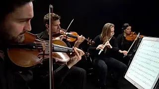 Walt Ribeiro  - All In All
