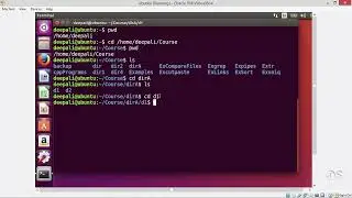 Linux Command Line, Bash Shell, Scripting AWK & SED on Linux - Changing Directories.mp4