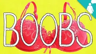 Why Breasts Are 'Boobs'