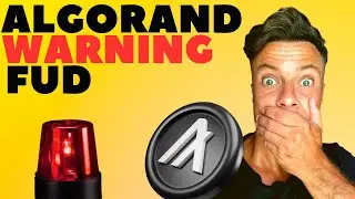 ALOGRAND WARNING - This Algo News Has Investors Worried! Don't Be Fooled!