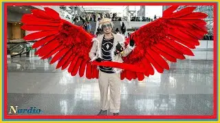 Perfect Hawks Cosplay Interview at Anime NYC