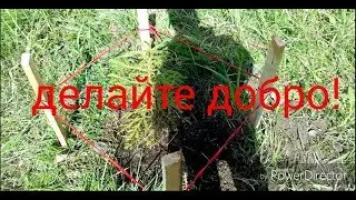 делайте добро!
