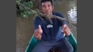 Umpannya pakai ikan lembat, Luar biasa❗ Malah dapat ikan Baung Raksasa #fishing #ikanbaung #mancing