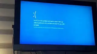 Wario Scream Has BSOD