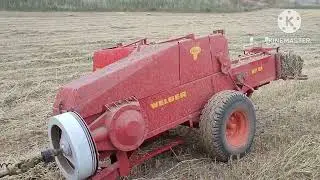 Прессую Суданскую траву прессом Welger AP61