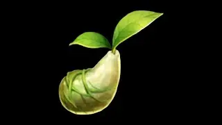 All Mokoko Seeds in Saland Hill 9/9 Lost Ark