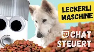 Chatgesteuerte LECKERLIMASCHINE BAUEN [Arduino Projekt]