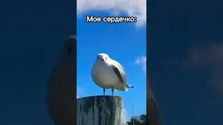 Злой параметр 