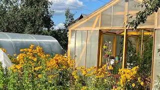 Дачная жизнь осенью . Что посадить осенью