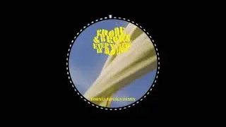 Rhode & Brown - Everything In Motion (Kornél Kovács Remix)