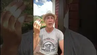 Как избавиться от проблем и болезней #деревня #nature #village #shortvideo #shorts #short