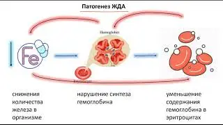 железодефицитная анемия | определение, этиология, патогенез, клиника, диагностика, лечение