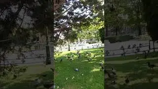 Reşadiye Cami Eskişehir Valiliği 