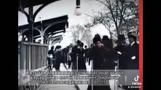 Paygʻambarimiz Muhammad sollallohu alayhi vasallam haqida Nemis yozuvchisining aytgan soʻzlari.