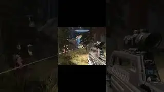 Halo suprise quad!!!