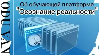 Практика осознанности - самообучение в Телеграмм.  Информация о платформе "Осознание реальности".