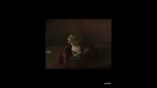 la-la-lala-la, Lyle Lyle crocodile meme | smashzilla memes 190 