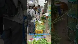 #Asea Vegetables at South Korea