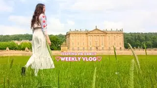 ♡Visiting Mr Darcy's house: Shopping, cooking, introvert lifetstyle♡