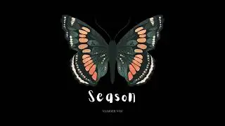 Vlinder Vos - Season