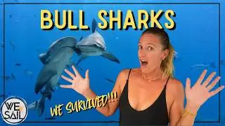 Diving with BULL SHARKS in Fiji... Here's What Happened