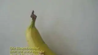 Re: Die Riesenbanane. Nochmal mit Musik.