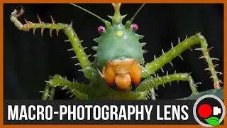 Macro-Photography Lens and Kit (w/ Phil Torres)