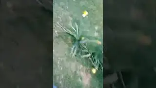по ходу всё... приехали 😒