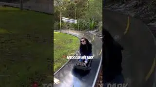 Toboggan is lit 🔥 ~ Toboggan Hill Park Nelson Bay 