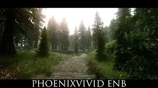 Skyrim SE Mods: PhoenixVivid ENB Reshade (WIP)