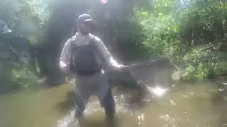 Bryson City - the Fly Fishing Capital of the South