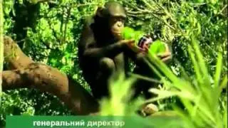 Реклама сока botaniQ.mp4