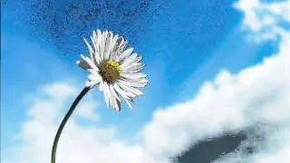 2002 - To Touch the Sky