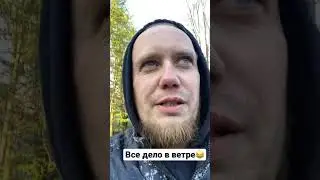 Делай ветер 