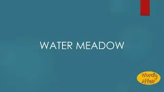 Water meadow Meaning