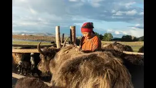 Holistic Planned Grazing & EOV in Mongolia: PLUS Project 2022 Recap