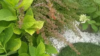 Как оформить цветник корой дерева, камнем