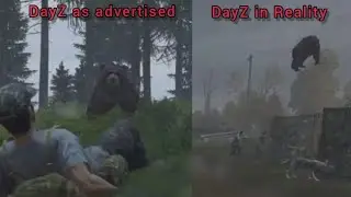 DayZ as Advertised vs. DayZ in Reality: Bears