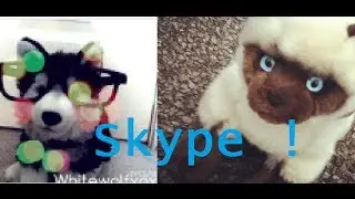 On Skype with whitewolf533 !