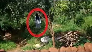 GHOST ENTITY CAUGHT on tape in forest | Paranormal activity caught inside woods
