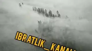 AROQ ХAQIDA ALBATA ESHITIN