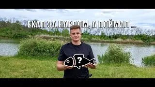 СУТОЧНАЯ РЫБАЛКА НА ПРУДУ ЛИПОВ ЛОГ! ГОТОВИМ В КАЗАНЕ! (Рыбалка в Воронежской области 2022)